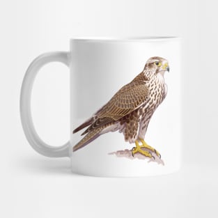 Saker Falcon Mug